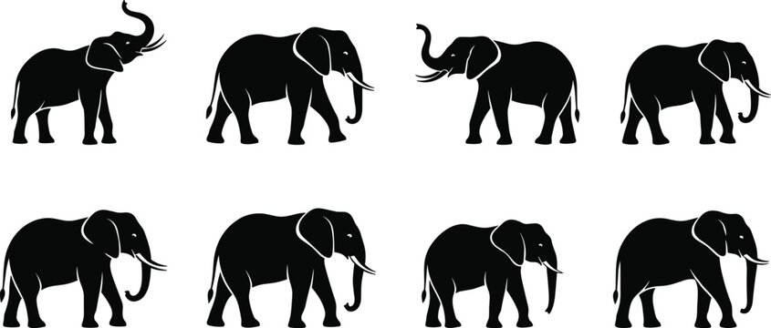 Set of professional black elephant silhouettes featuring various walking and standing poses with trunks raised for wildlife conservation and safari branding