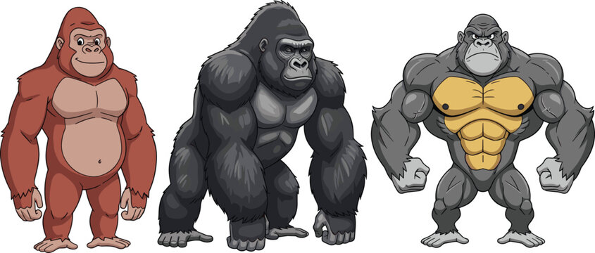 Gorilla Cartoon Character Evolution Set Featuring Different Body Types from Natural Ape to Muscular Beast for Wildlife Illustration and Creative Design Projects
