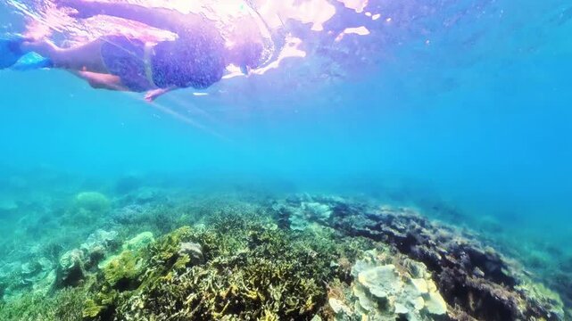 Woman enjoying a tropical summer vacation, exploring vibrant famous Twin Reef and marine life while snorkeling in the clear blue waters of Port Barton, Palawan, Philippines