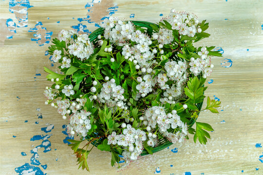 Flowers in a Green Basket on a Wooden Surface