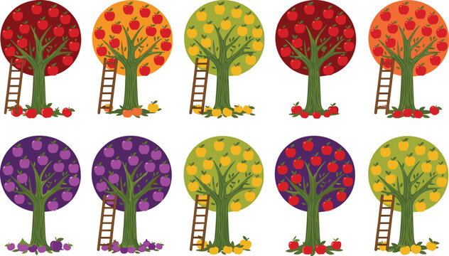 Colorful fruit trees with ladders collection, seasonal orchard harvesting scene with apples, plums and oranges vector illustration set