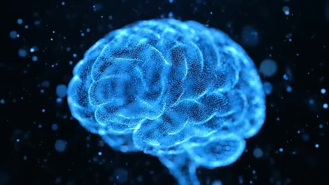 3d rendered illustration of human brain