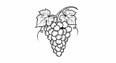 Naklejka premium Black and white line drawing of a grape cluster with leaves