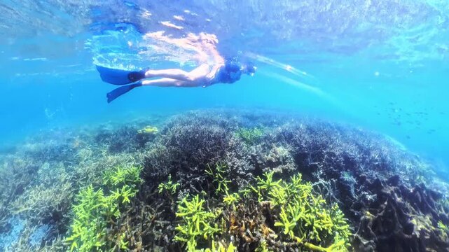 Woman enjoying a tropical summer vacation, exploring vibrant underwater Twin Reef and marine life while snorkeling in the clear blue waters of Port Barton, Palawan, Philippines