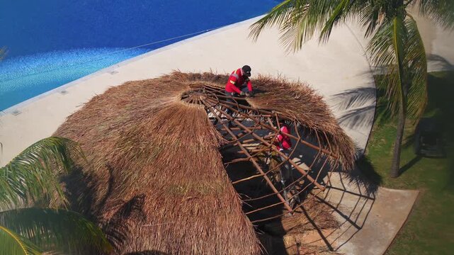 Service workers covering palapa roof with palm leaves in tropical country. Skilled labor building traditional shelter outdoors. Construction, craftsmanship, sustainable materials and culture concept