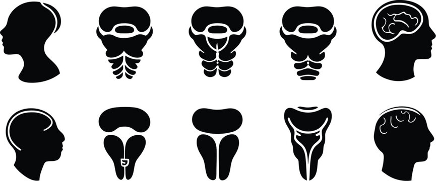 Thyroid Gland Icon Set Vector Collection for Medical Anatomy Healthcare and Endocrine System Design