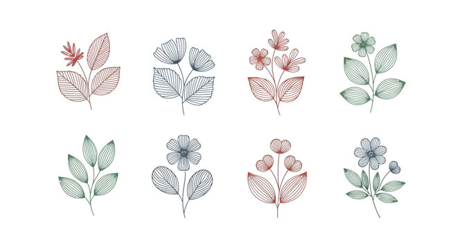 Variety of flowers and leaves arrangement.