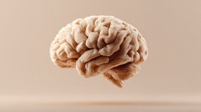 Realistic human brain model floats against soft beige background
