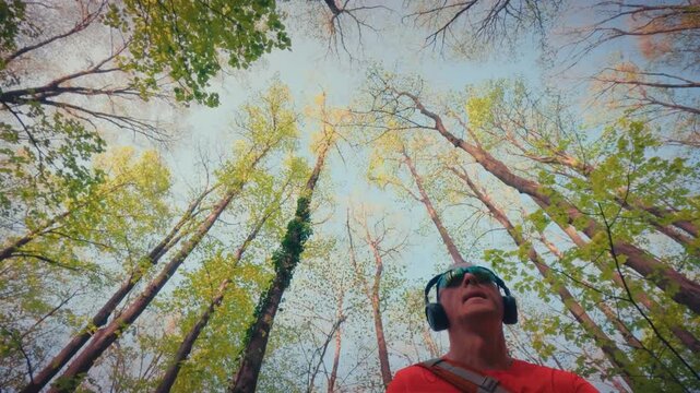 Low angle shot of an active mature man in his 50s looking up at the lush green forest canopy. Concept of mindful hiking, connection with nature, and mental health relief. 4k quality.