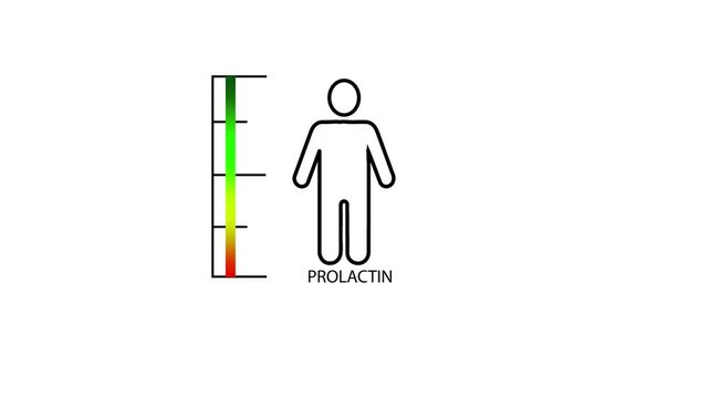 Measuring gradient scale with man simple outline silhouette. Hormone prolactin level measuring device.