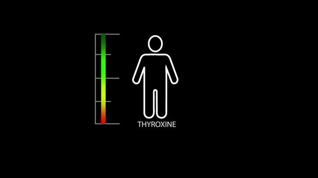 Measuring gradient scale with man simple outline silhouette. Hormone thyroxine level measuring device.