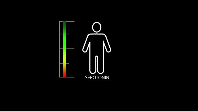 Measuring gradient scale with man simple outline silhouette. Hormone serotonin level measuring device.