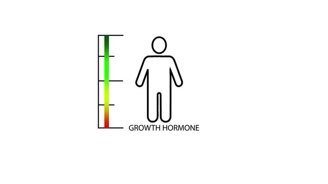 Measuring gradient scale with man simple outline silhouette. Hormone growth level measuring device.