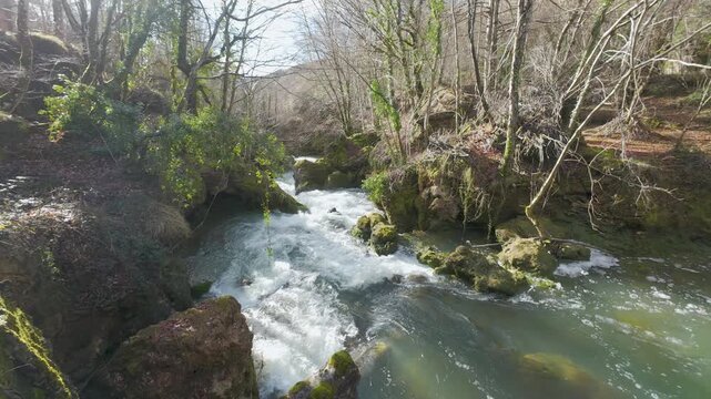 Rushing river flowing through a spring forest