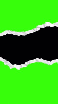 Smooth Wave Torn Ripped Paper Border Transition Green Screen Overlay Opening Reveal Transparent Background 4K Video