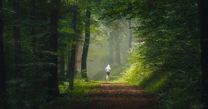 Runner wearing a hoodie on a scenic forest path illuminated by beautiful dreamy light in misty atmosphere