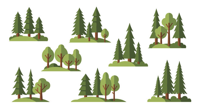 Collection of different forest groupings featuring evergreen pine trees and deciduous trees in a flat vector design style.
