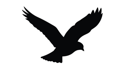 Fototapeta premium flying bird silhouette high quality professional detailed modern