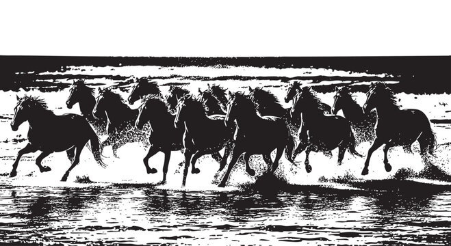 Black horses running, horse silhouette, running horses, monochrome animal illustration, vector horses