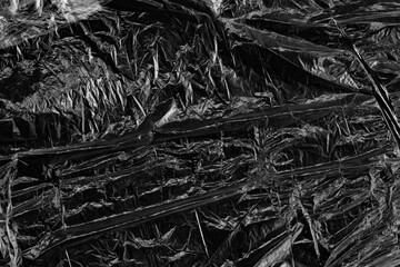 Obraz premium Transparent plastic wrap texture overlay isolated on PNG background.