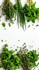 Fototapeta premium A variety of fresh herbs including mint, thyme, and chives on a white background, perfect for culinary use.