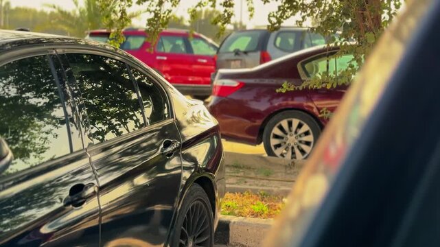 a black sedan parked in a sunny outdoor lot. Trees reflect in the window during golden hour. Shallow depth of field shows blurred vehicles in the background.