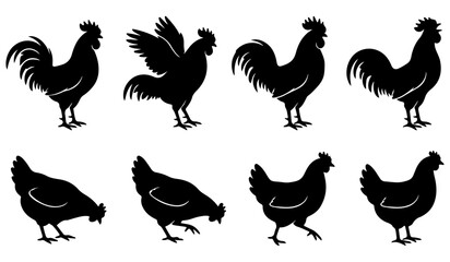 Hen vector set, Silhouette vector set of chicken and rooster animals, Chicken vector © Nayan
