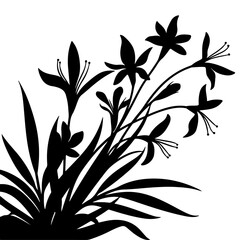 Lily flower with leaves silhouette, Silhouette lily black on white background vector illustration, Flowers silhouettes vector © Nayan