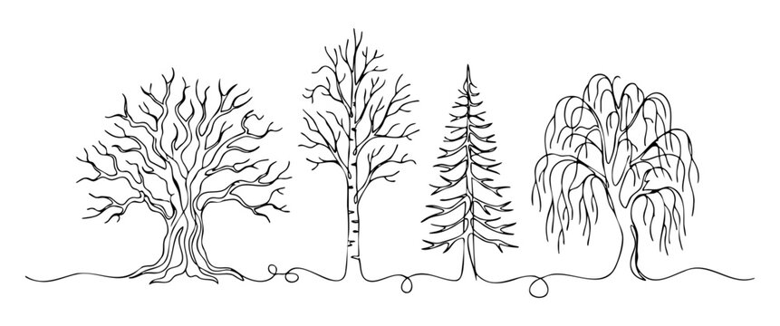 Minimalist one-line illustration of oak, birch, pine and willow trees, diverse species in seamless row