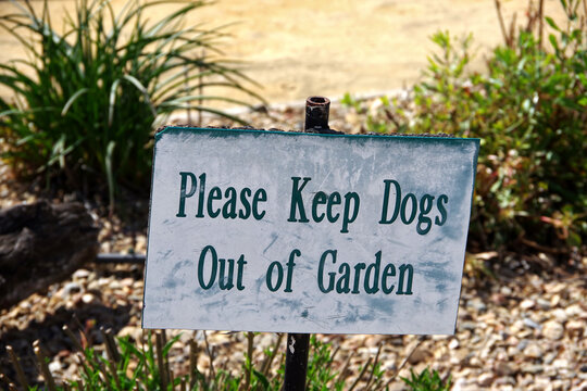 Please Keep Dogs Out of Garden Sign
