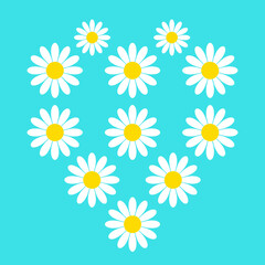 Naklejka premium Heart Shape Made of Daisy Flowers on Turquoise Background, Romantic Floral Pattern and Spring Nature Concept Vector Illustration for Greeting