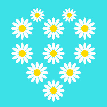 Heart Shape Made of Daisy Flowers on Turquoise Background, Romantic Floral Pattern and Spring Nature Concept Vector Illustration for Greeting