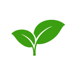 Obraz premium Isolated fresh green leaf element