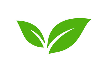 Fototapeta premium Isolated green leaf icon design