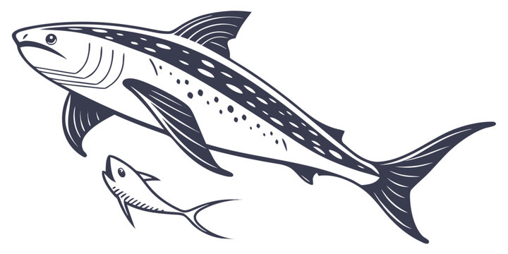Stylized graphic illustration of a large tuna fish swimming above a smaller fish with wildlife swimming predator illustration underwater creature saltwater ecosystem ichthyology stylized