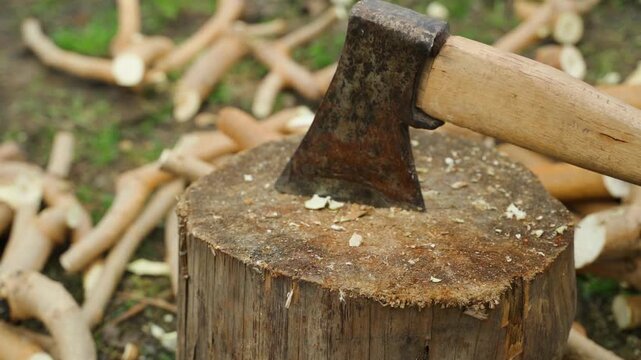 Slow motion of chopping branches with axe close-up
