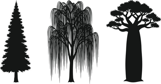 Set of tree silhouettes featuring a pine tree weeping willow and an African baobab tree for nature designs
