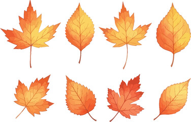 Fototapeta premium Watercolor autumn maple leaves collection isolated on transparent background perfect for fall season designs and decorations
