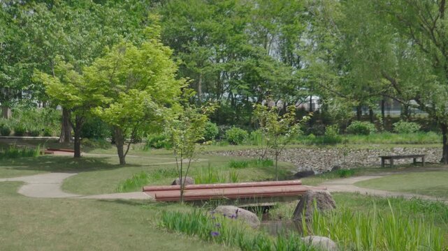 新緑の公園