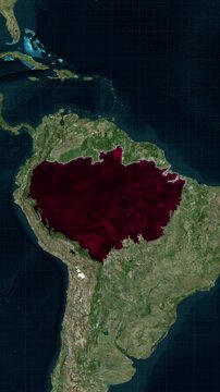 Amazon Rainforest Animated Map With Loop Animation In Vertical