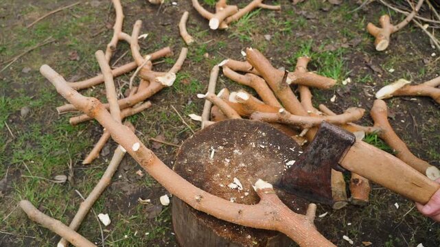 Top view of chopping pruned branches process slow motion
