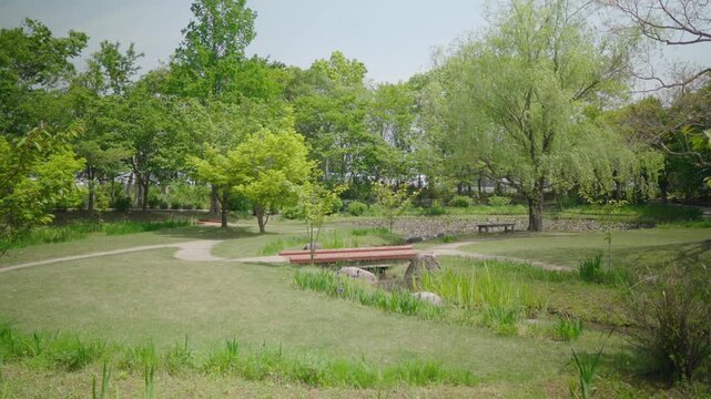 新緑の公園