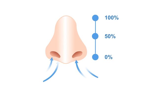 Nose Breathing Air  and Inhalation Concept Animation.  Front view of a human nose with airflow arrows entering the nostrils and a vertical percentage indicator. Breathing exercises and education 