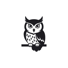 Obraz premium Black and white owl sitting on branch.