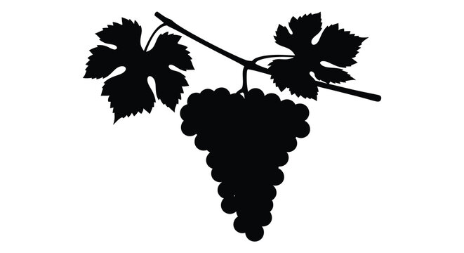 grape cluster with leaves silhouette high quality professional