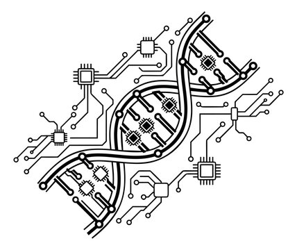 Line art illustration of DNA double helix merged with circuit board depicting biotechnology and genetic engineering for science and technology design