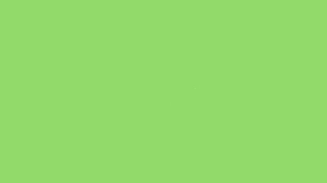 Best-quality Twinkling little stars into green screen animation with glowing sparkles, flat, vector,  fairy twinkle stars on green screen,twinkle festive holiday decoration, 4k animation.