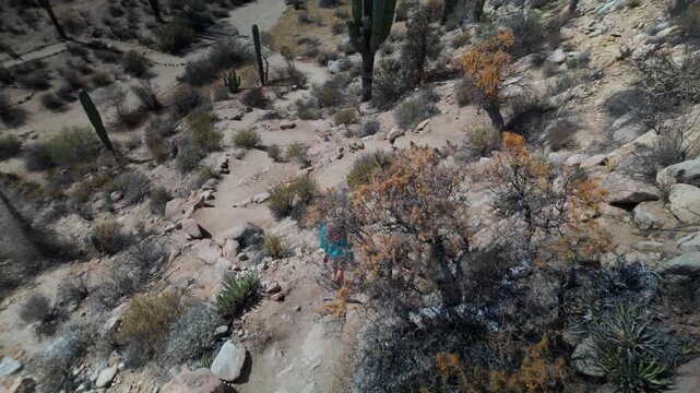 A woman hikes through the desert landscape to find ancient cave paintings in Catavina Baja California Mexico.