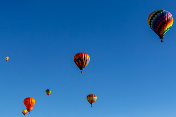 Obraz premium Colorful Hot Air Balloons Rise Into a Bright Blue Sky at a Joyful Local Festival