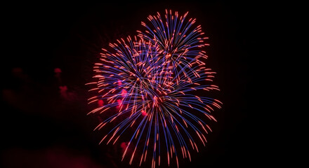 Fototapeta premium Fireworks display against dark night sky